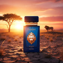 Maison Asrar Hunter Edp 100ml Unisex