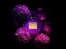 Antonio Banderas Her Secret Desire Edt 80ml Mujer